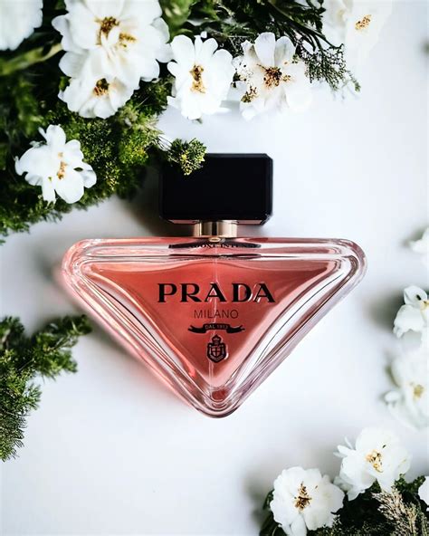 nieuwe prada geur|PRADA Paradoxe .